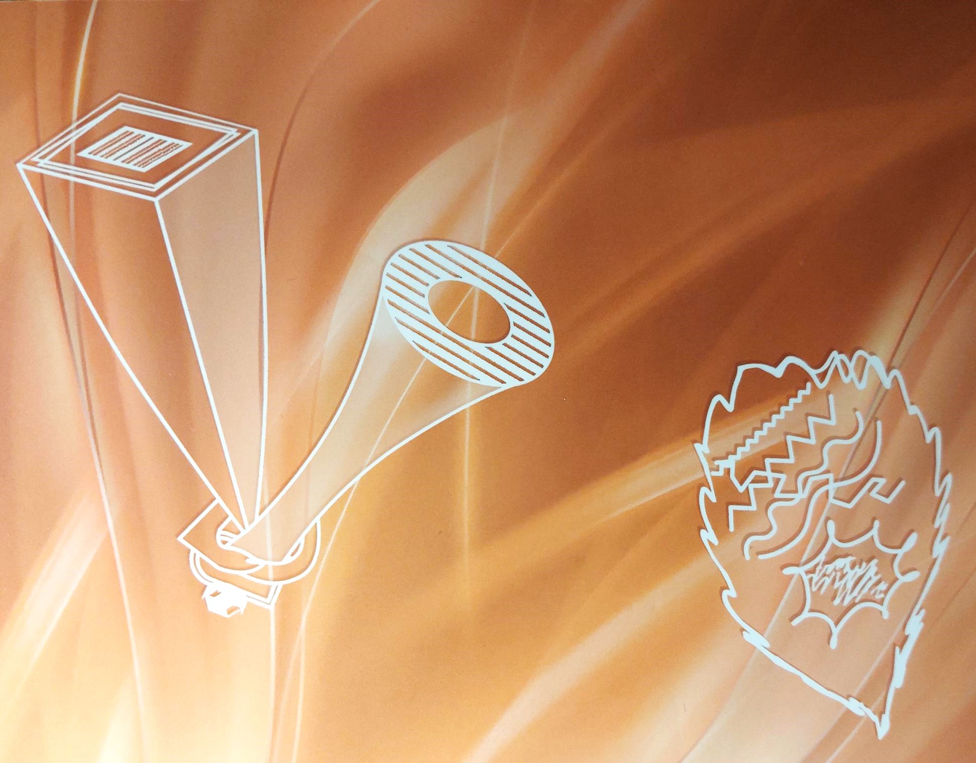 4d. programa - 11 koordinatė