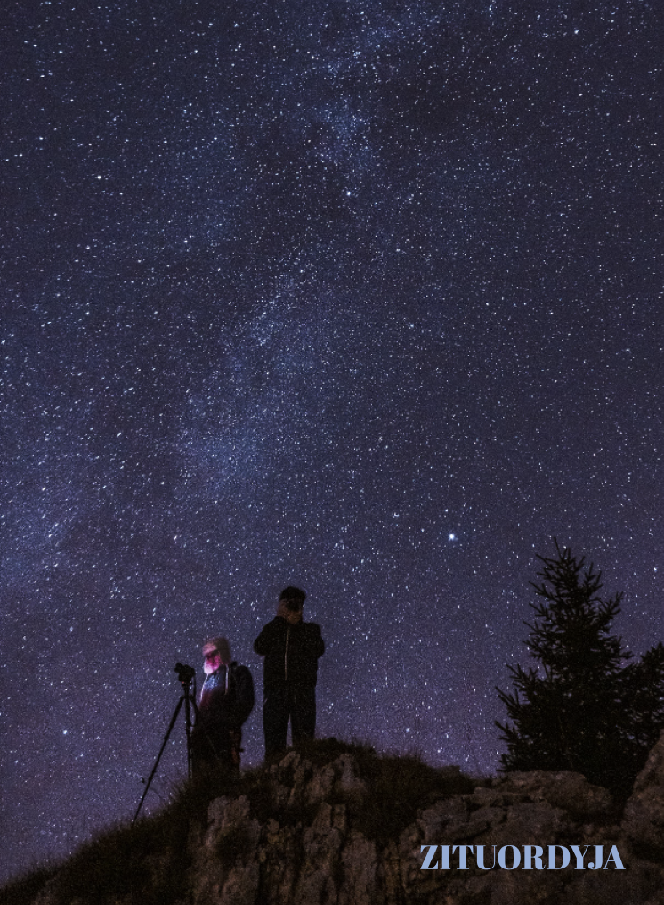 VIP Gyvenimas laike. Adaptacija 2d