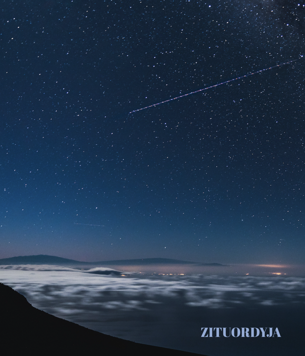 VIP Galybė. Zodiakų ženklai 2d